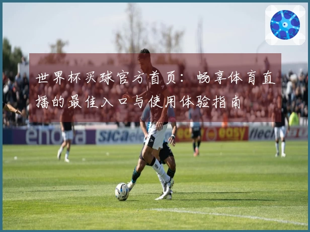 世界杯买球官方首页：畅享体育直播的最佳入口与使用体验指南
