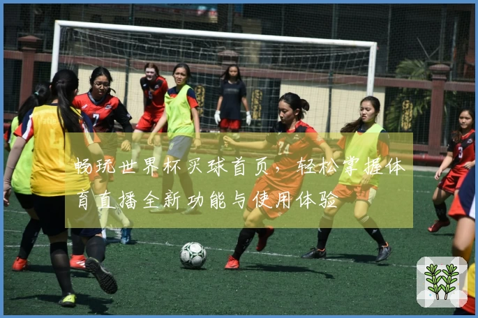 畅玩世界杯买球首页，轻松掌握体育直播全新功能与使用体验